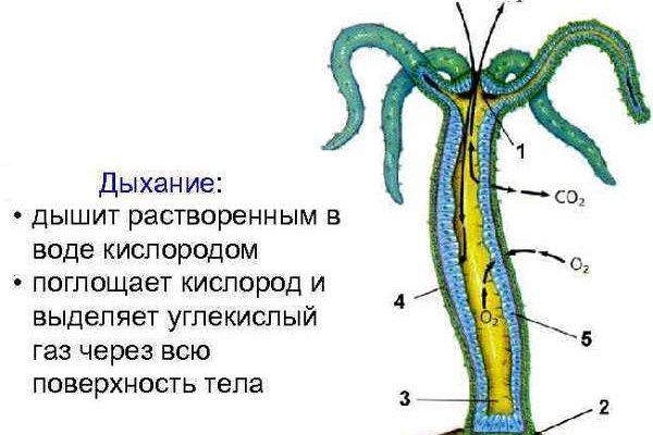 Кракен какой сайт