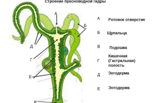 Кракен дарк сайт