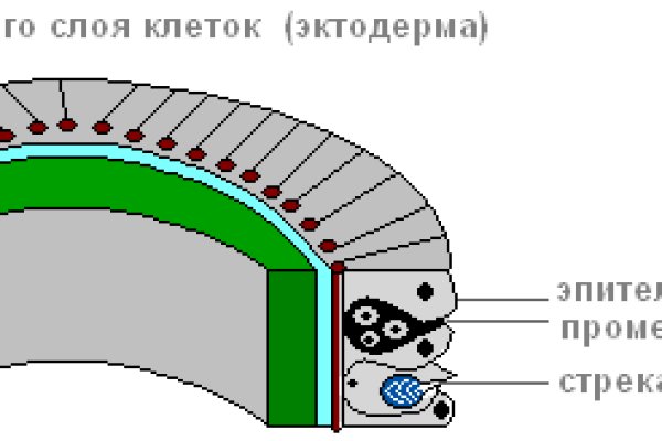 Сайт krn