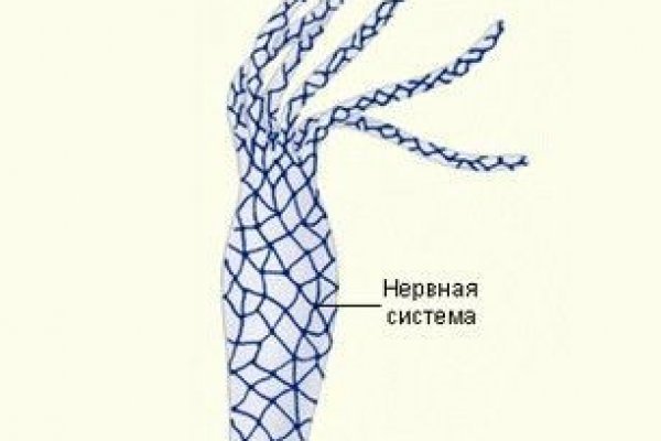 Кракен вход